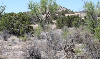 BEAN CREEK Road, Abiquiu, NM 87510