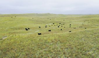 755 90 +/- Acres, Arnold, NE 69120