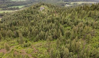 2420 CEDONIA ADDY Rd, Addy, WA 99101