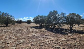 3597 Boone Trl, Ash Fork, AZ 86046