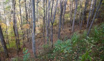 595 Rock Creek Ridge Rd, Bakersville, NC 28705