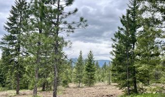 12 Acres Elizabeth Ln, Athol, ID 83801