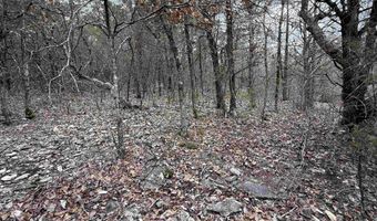 36 Highway 354, Ash Flat, AR 72513