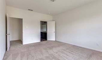 821 Cherry Blossom St, Anna, TX 75409