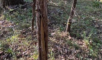 1965 Starlight Ln, Bennington, OK 74723