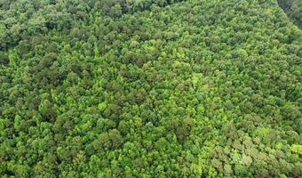 mt Olive Road, Arkadelphia, AR 71923