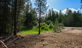 Price Loop lot 51, Cascade, ID 83611