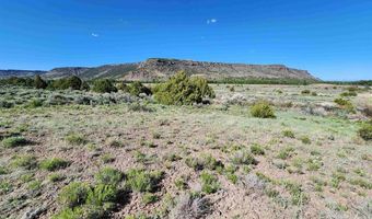 Conejos River Trails lot 10, Antonito, CO 81120
