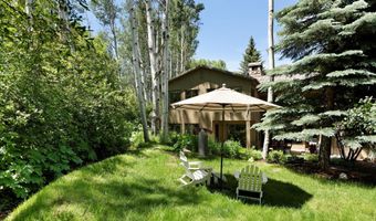 1145 Black Birch Dr, Aspen, CO 81611