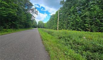 Tbd 162nd Street, Apple River, WI 54001