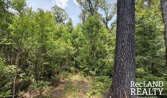 Cooper Lake Road, Bastrop, LA 71220