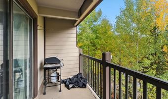 9339 STATE HWY 9 101, Breckenridge, CO 80424