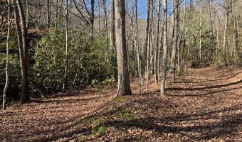 1834 Bristol Ave, Andrews, NC 28901