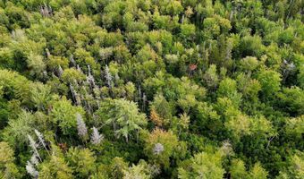 M20L2 E Side Road, Addison, ME 04606