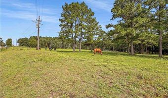 6779 County Road 215, Anderson, TX 77830