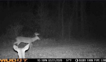 U.S. Highway 51, Bogue Chitto, MS 39629