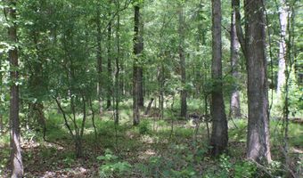 Vine Drive, Brandon, MS 39047