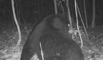 78 Nora Loop, Alpha, KY 42603