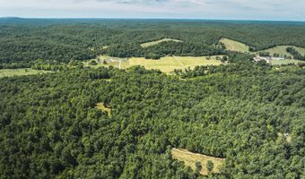 470 County Road 118, Annapolis, MO 63670