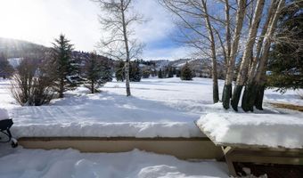 225 N Fairway Dr, Beaver Creek, CO 81620