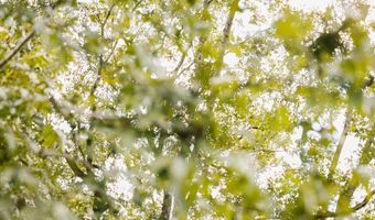 2778 SW Big Creek Dr, Bogue Chitto, MS 39629