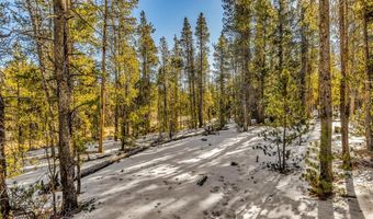 COUNTY ROAD 19 lot 0, Alma, CO 80420