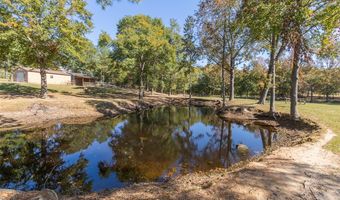 193 Pineland Meadows Rd, Belton, SC 29627