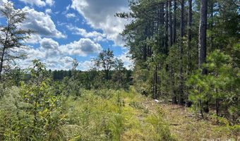 60 Ac Shannon Rd, Blackstock, SC 29014