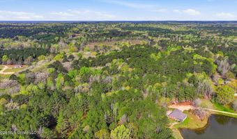 Harrisville Braxton Road, Braxton, MS 39044