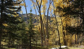 1036 Red Mountain Rd, Aspen, CO 81611