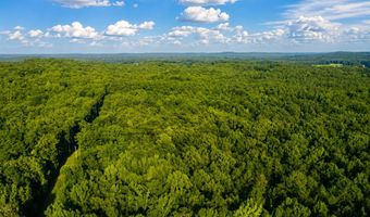 County Road 260, Bruce, MS 38915