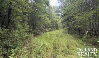 TBD-0 Yeldell Rd, Bastrop, LA 71220