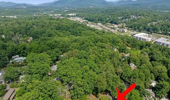 1 Pickwick Rd, Asheville, NC 28803
