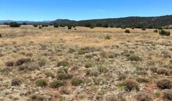 13 County Road 8006, Concho, AZ 85924
