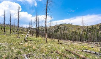 2384 Rist Creek Rd, Bellvue, CO 80512