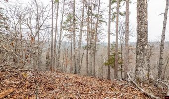 CR 19-A, Alton, MO 65606