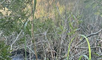 Strawhorn Creek Road lot 2 & 3, Aurora, NC 27806