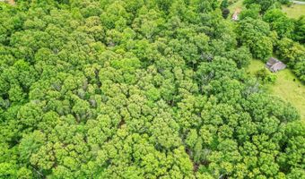 687 Gidsville Rd, Amherst, VA 24521