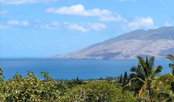 561 Kaleo Pl, Kihei, HI 96753