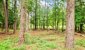 169 White Rd, Abbeville, AL 36310