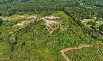 135 Sawmill Rd, Braxton, MS 39044