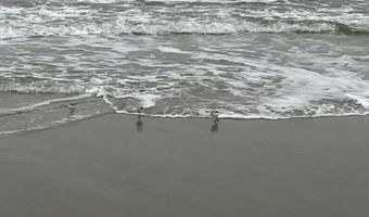 709 Ocean Ave N 8, Avon By The Sea, NJ 07717