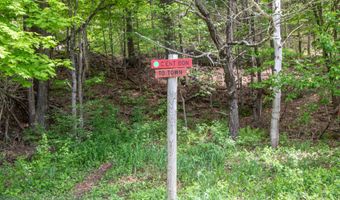 98 VT Route 114, Burke, VT 05832