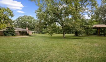 2414 Rocky Creek Rd, Ashford, AL 36312