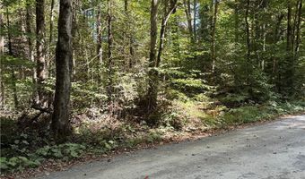Beaver Trail lot # 1, Alder Creek, NY 13301