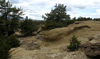 nhn Cottonwood Road, Bridger, MT 59014