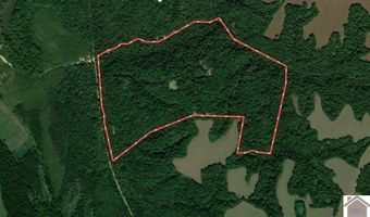 Sandy Branch Road, Bardwell, KY 42023