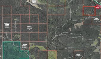 TBD OFF CR 426, Arnold, MI 49819
