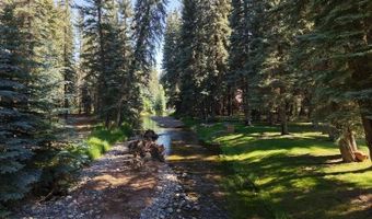 201 Golden Forest Rd, Bayfield, CO 81122