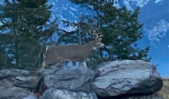 1173 Cygnet Trl, Bigfork, MT 59911